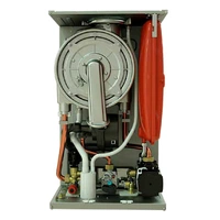 Газовый котел ECA Proteus Premix внутри